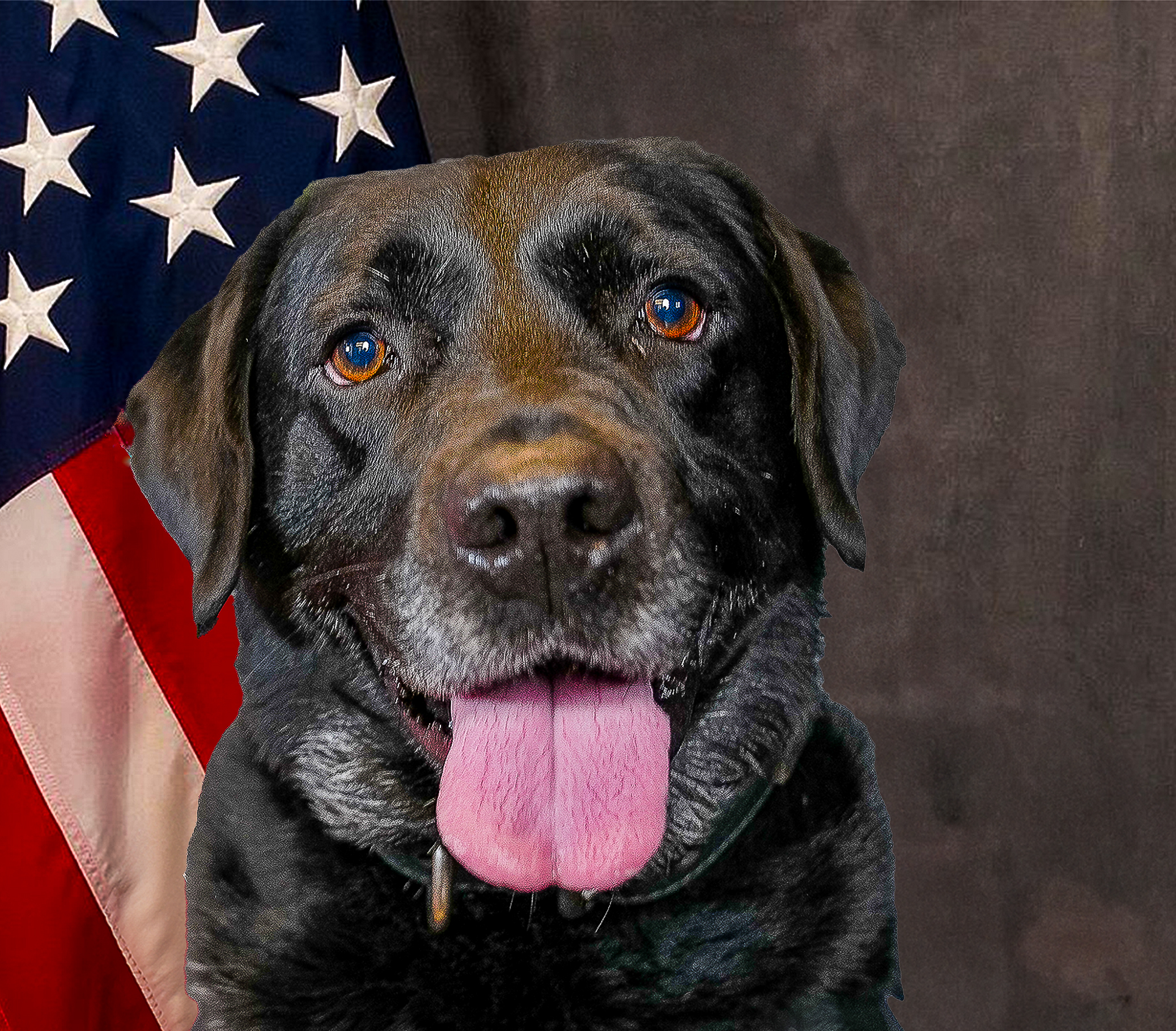 K9 Darko