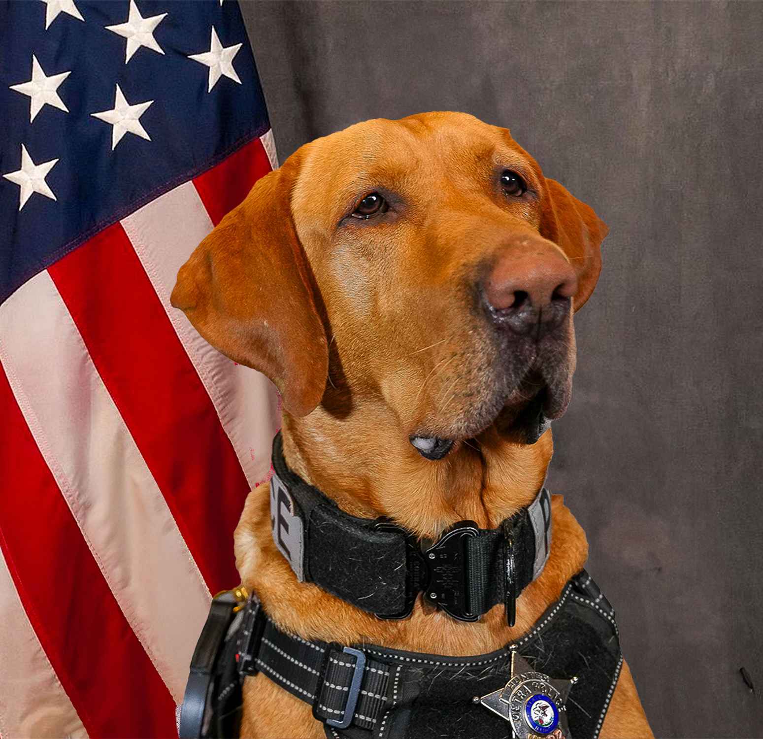 K9 Hunter
