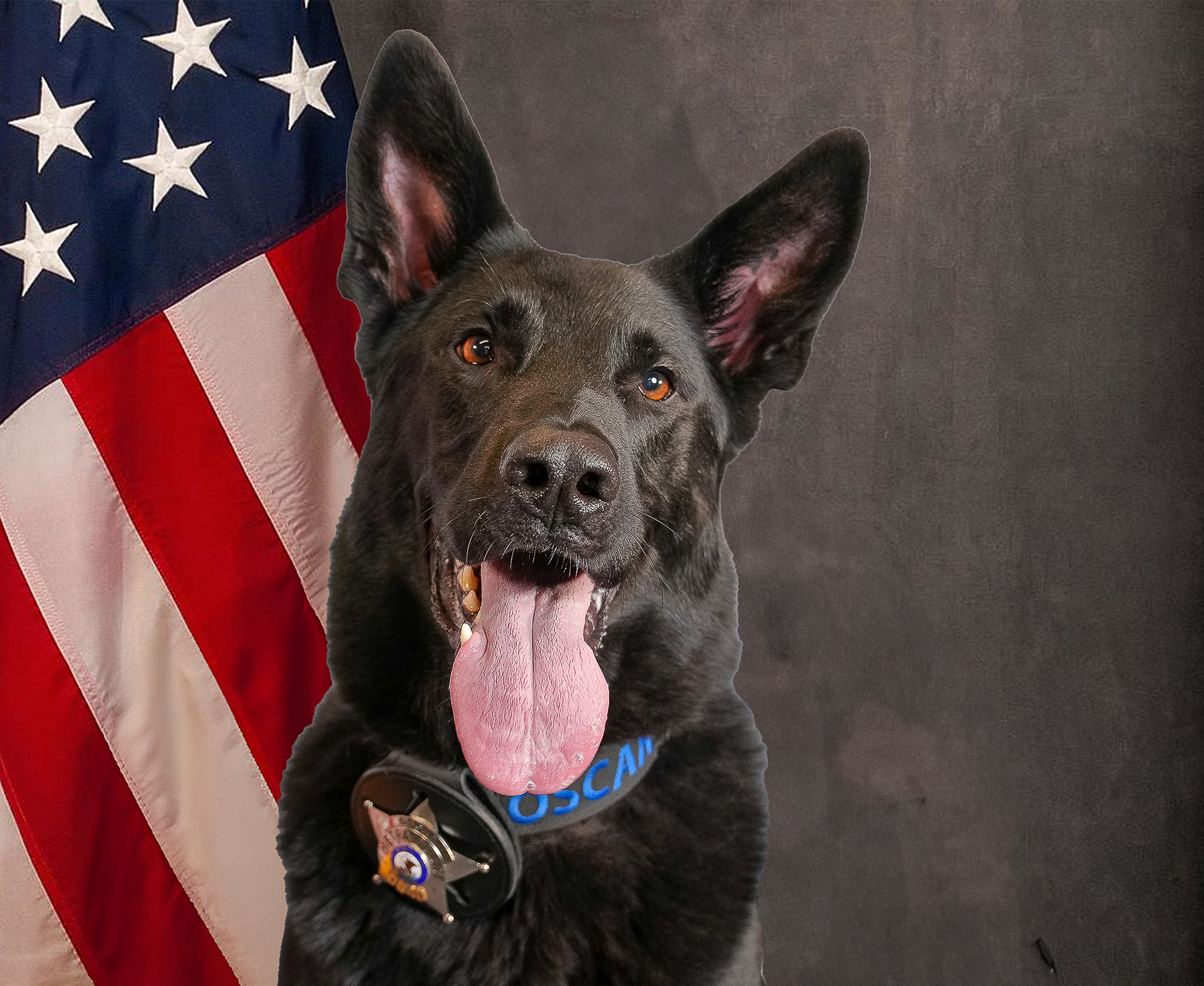 K9 Oscar