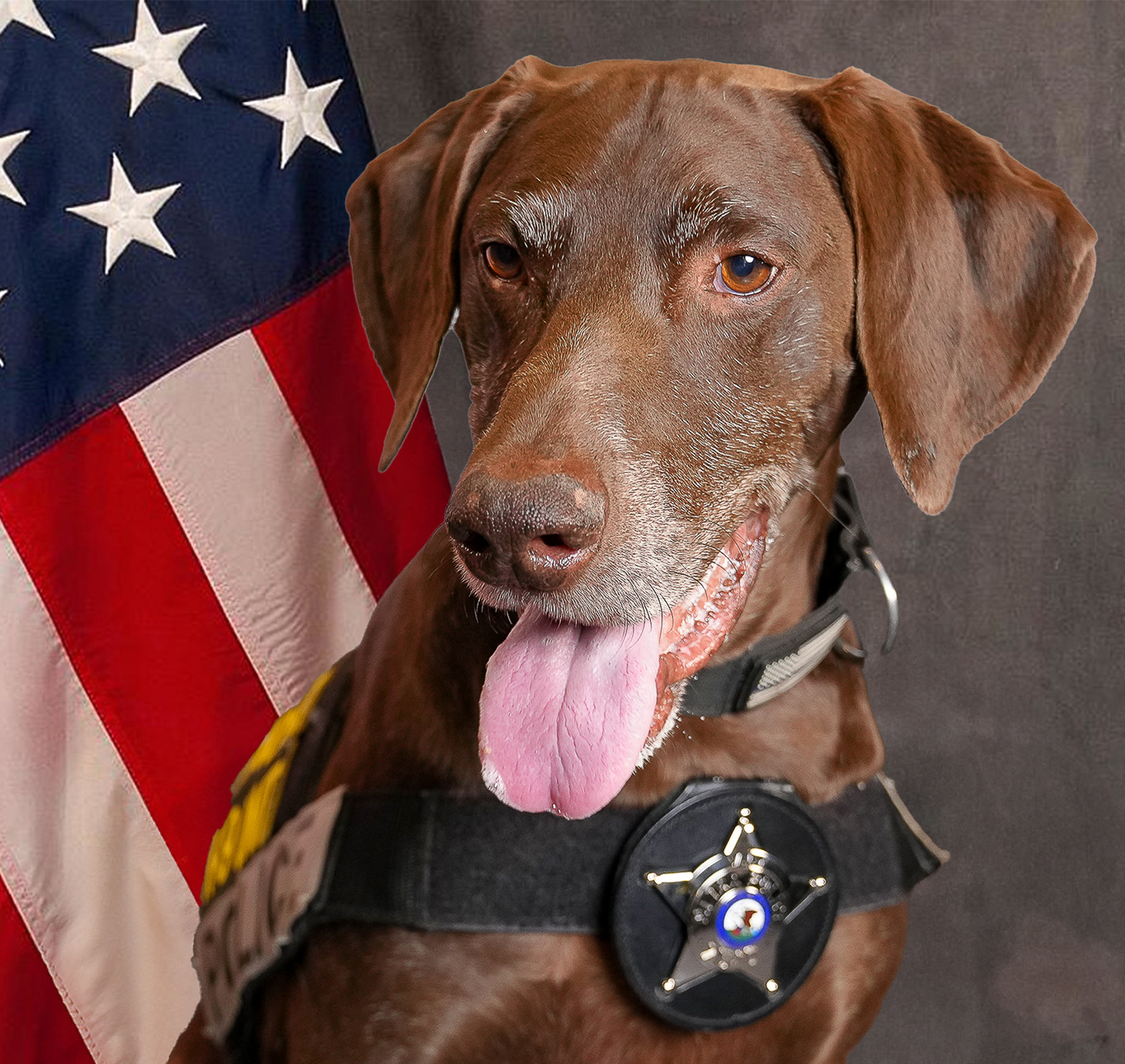 K9 Ravi