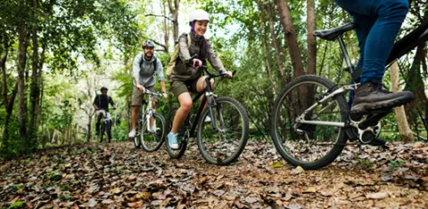 Group of people riding bikes in the woods. 